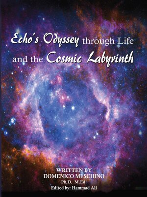 cover image of Echo's Journey through Life and the Cosmic Labyrinth